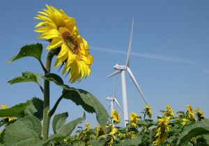 éolien-renouvelables-rentabilité