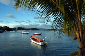 Martinique_photo_Tach_RedGold&Green