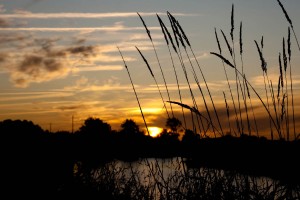 coucher_soleil_vendee_photo_tony newell