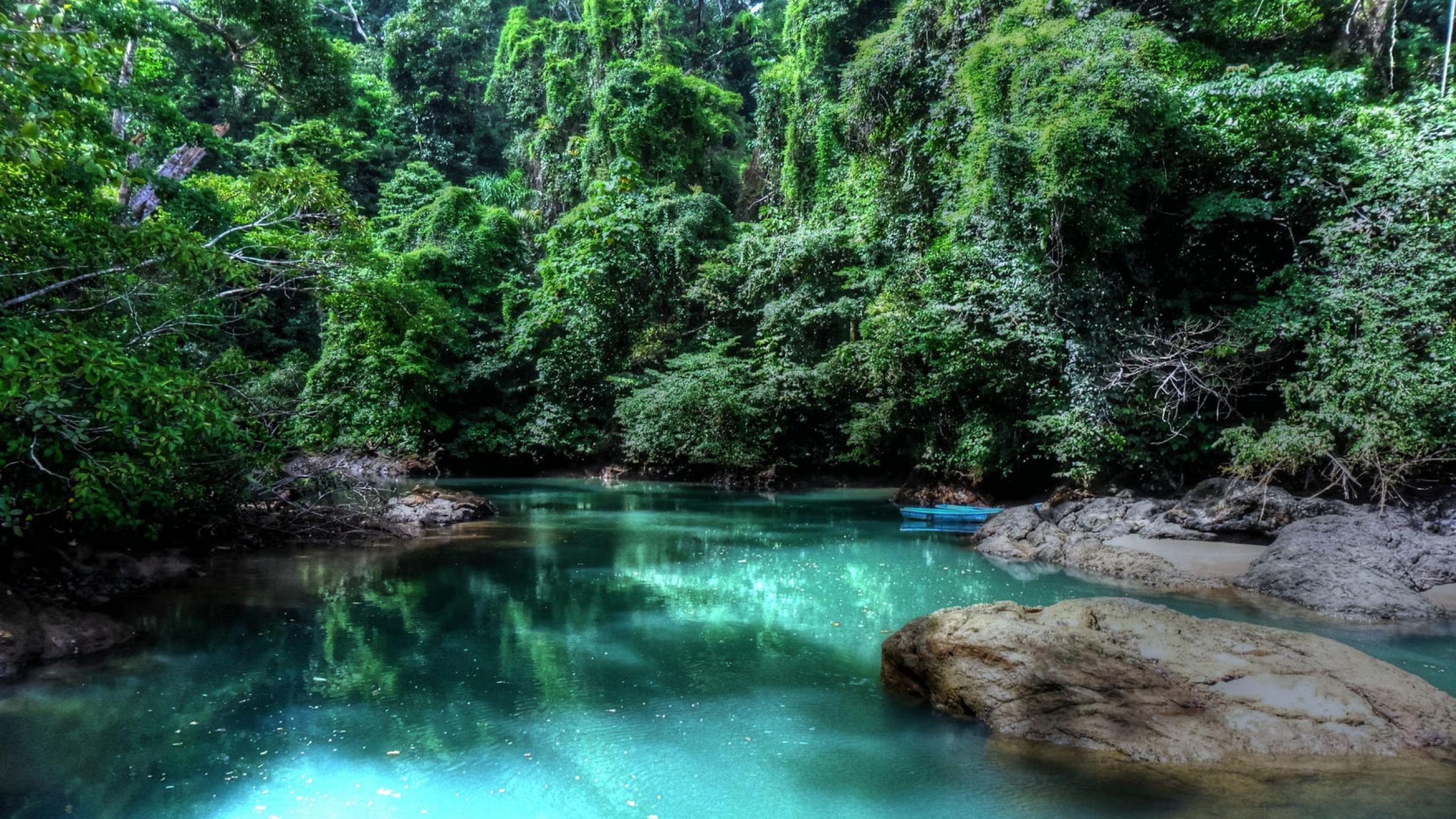 Амазонка дика природа. Коста Рика тропический лес. Тортугеро Коста-Рика. Джунгли Коста Рики. Река Селесте Коста-Рика.