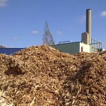 biomasse1