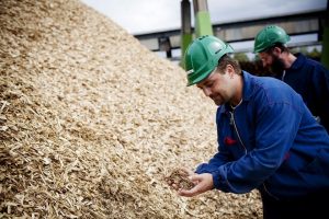 Biomasse : Ségolène Royal dévoile les lauréats du premier appel d’offres