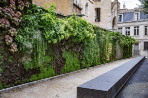 plan_climat_paris