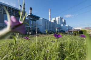 centrale-a-charbon-cordemais-emissions-co2