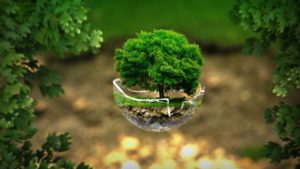 ecologie sociale claire monod