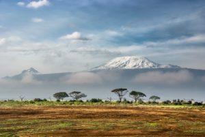 petrole kenya tullow total