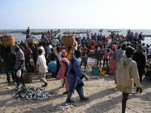 senegal-gaz
