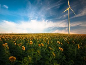 Agriculture française et transition énergétique