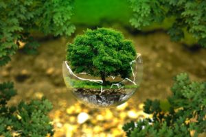 bpifrance aider pme eti decarbonner activites - L'Energeek.jpg