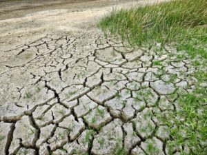 changement climatique action court terme rapport giec - L'Energeek