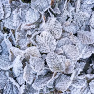 france tensions sur energie journees tres froides hiver - L'Energeek