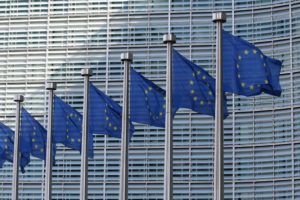europe-bois-énergie-filiere-foret-bois