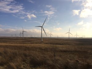 president emirati cop28 veut multiplier par trois renouvelables 2030 - L'Energeek