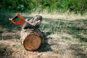 Prix Dun Stere De Bois Tarifs Et Tendances Du Marche De La Semaine