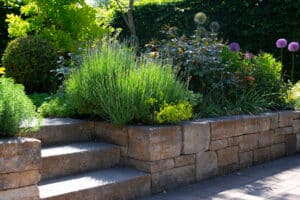 Summer,garden,with,flowering,shrubs,and,flowers