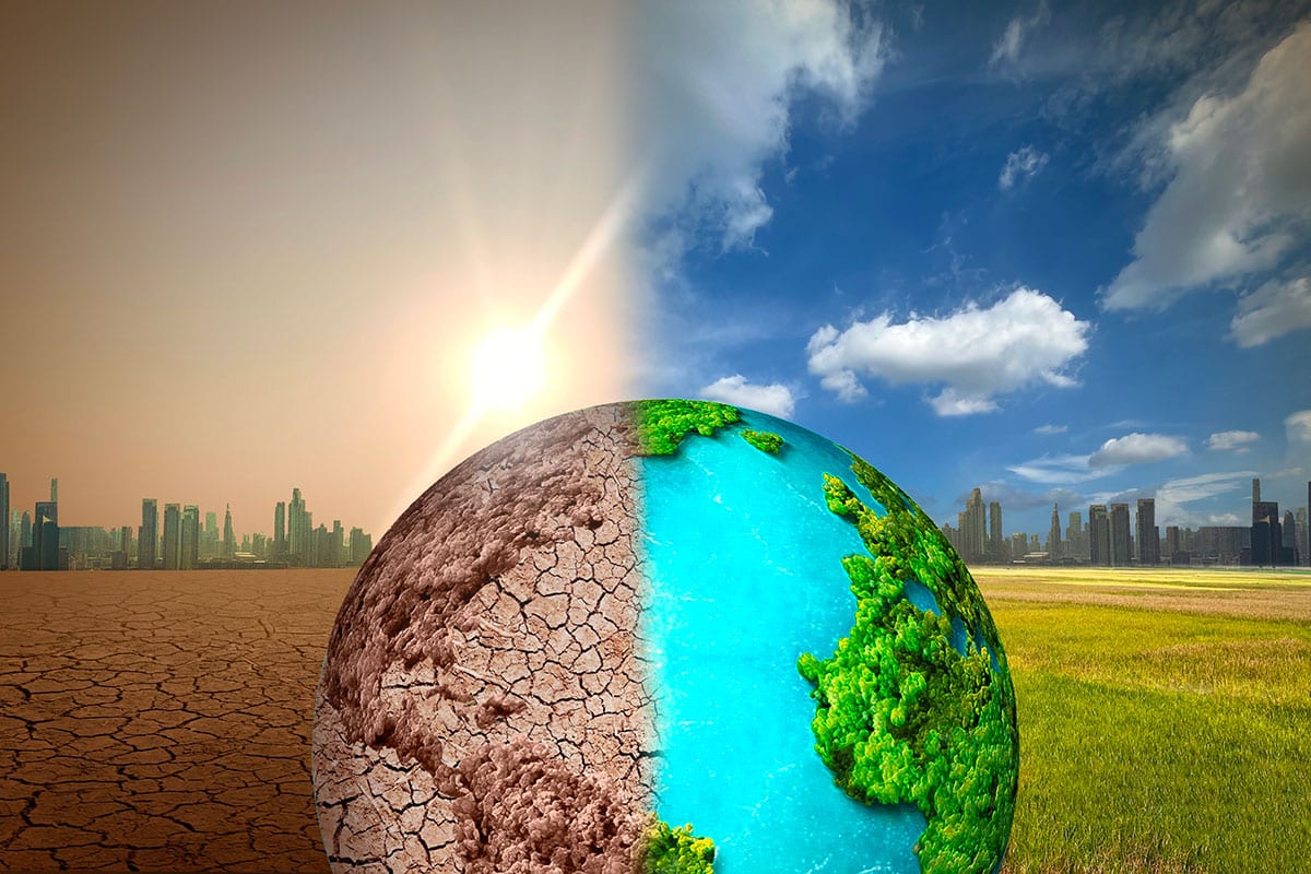 2024 : une chaleur record qui change la donne climatique