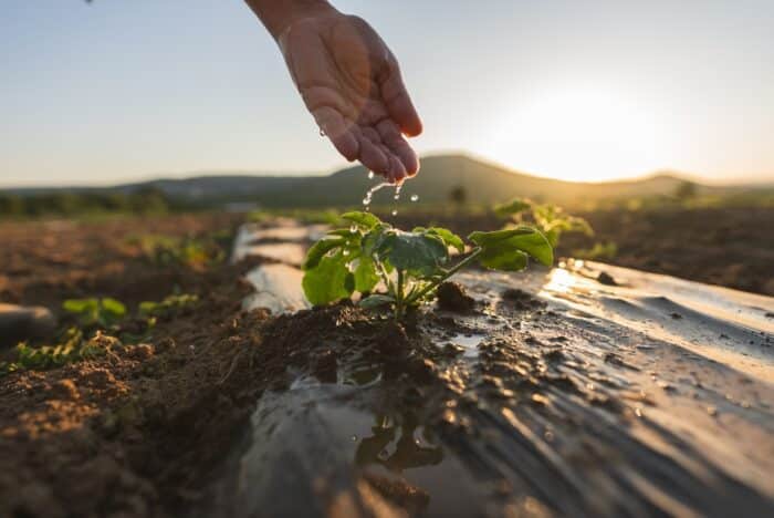 L'avenir de l'eau en France : trois scénarios pour 2050