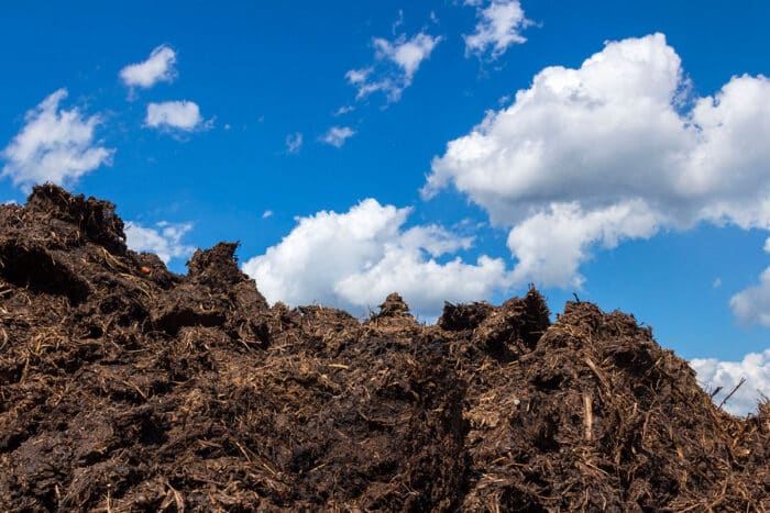 Hokkaido transforme le fumier de vache en hydrogène durable
