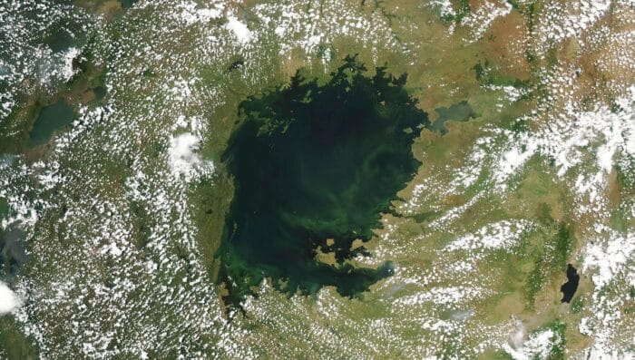 Le lac Victoria : un géant en danger à cause de l'eutrophisation