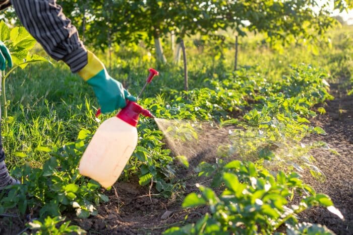 pesticides-mauvais-environnement-la-sante