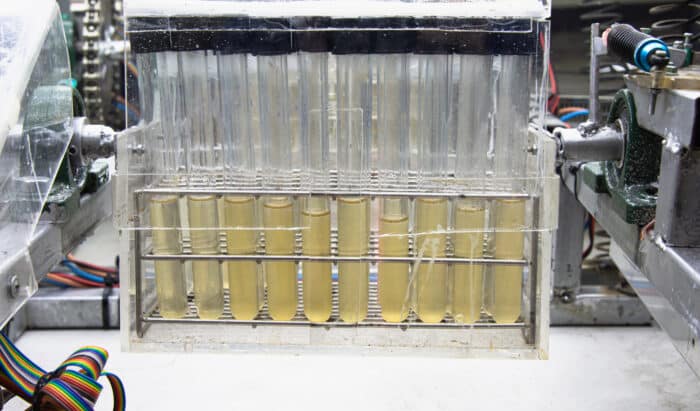 Ils transforment des déchets agricoles… en batterie révolutionnaire