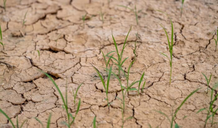Continuez comme ça et nous manquerons d'eau en 2050