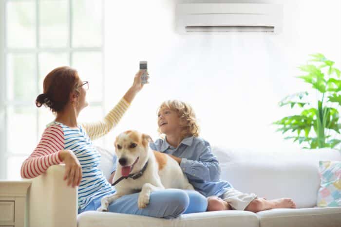 Hello Watt Propose Bon Plan Energie