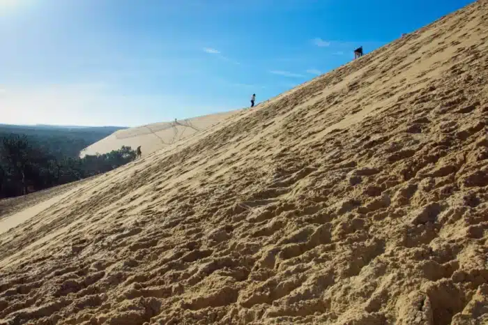 Sous le sable, l’horreur : ce que cache vraiment la Dune du Pilat