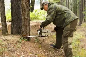 Bois de chauffage gratuit en forêt : une fausse bonne idée qui peut coûter très cher