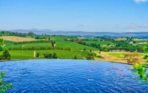 Eau et agriculture : faut-il stocker l’hiver pour survivre l’été ?