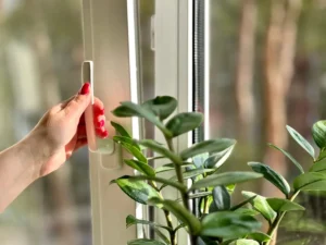 Pourquoi de plus en plus d'experts recommandent d'ouvrir les fenêtres après 22h en avril : la raison va vous surprendre