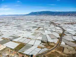 Visible depuis l'espace, la « mer de plastique » d'Almería nourrit toute l'Europe : les agriculteurs sur place racontent ce que personne ne veut voir