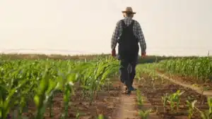 Cet agriculteur de 86 ans refuse 13 millions d'euros pour que ses champs soient transformés en datacenter