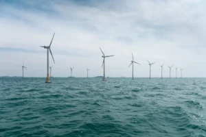 Les phoques chassés par les chantiers éoliens en mer reviennent avec un itinéraire migratoire que les biologistes marins n'avaient jamais documenté