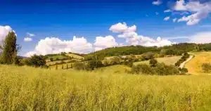 Les géologues viennent de repérer 6000 km³ de magma sous l'Italie : « on n’avait pas compris qu’elle contenait un aussi gros volume »