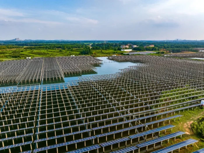 Des panneaux solaires posés à la verticale sur un lac produisent plus aux heures de pointe : les ingénieurs confirment que c'est le reflet de l'eau qui change tout