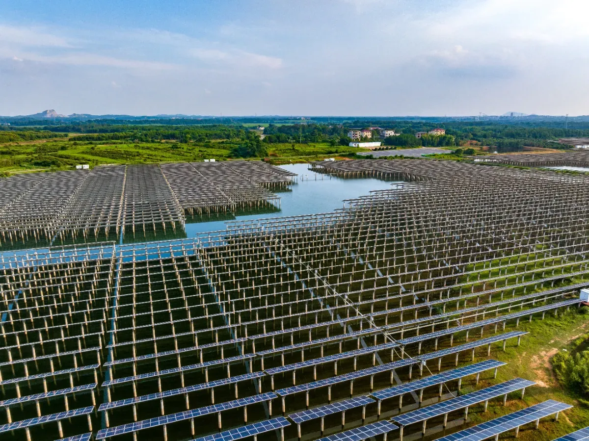 Des panneaux solaires posés à la verticale sur un lac produisent plus ...