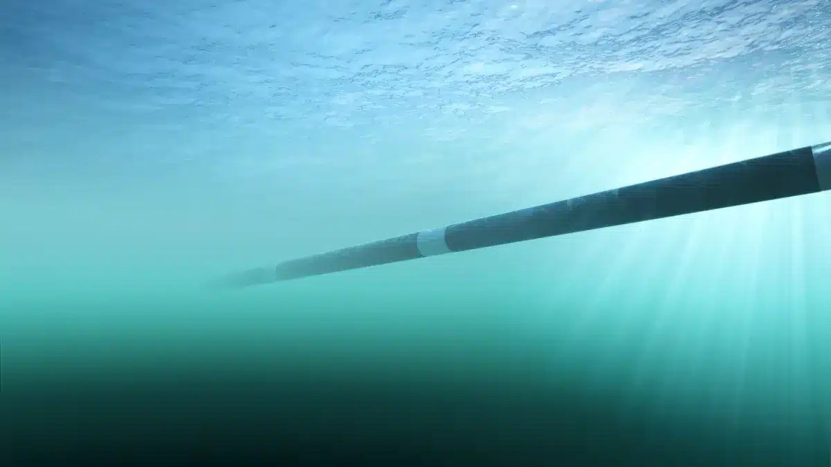 Ce câble de fibre optique reliait deux continents depuis le fond de l'océan : des plongeurs viennent de l'arracher dans une opération que personne ne croyait possible