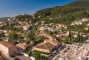 Arbres, ombre et végétalisation : la nouvelle arme des villes contre la canicule