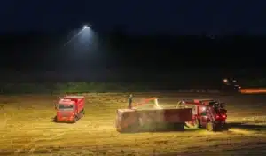 En Chine, des agriculteurs récoltent en pleine nuit grâce à des drones qui éclairent les champs