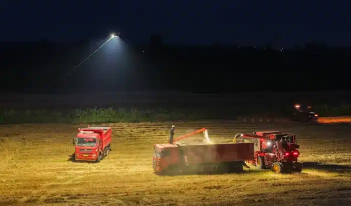 En Chine, des agriculteurs récoltent en pleine nuit grâce à des drones qui éclairent les champs