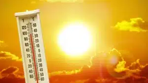 Canicule : comment savoir s'il faut fermer les volets ou ouvrir les fenêtres pour changer l'air ?