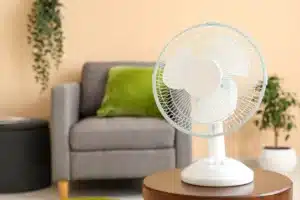 Canicule : votre le ventilateur devient inutile, voire contre-productif, au-delà de cette température