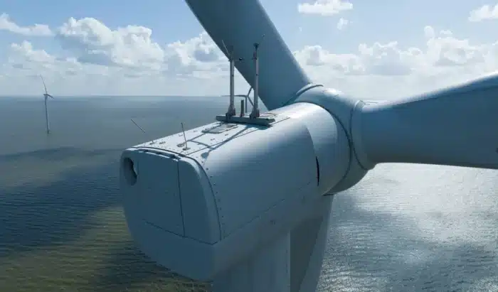 Les éoliennes offshore attirent les poissons et font fuir les oiseaux