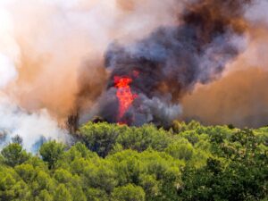 Incendies en Gironde : plus de 200 000 personnes évacuées