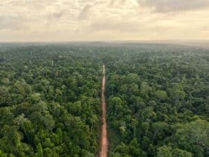 amazonie-3-1-millions-hectares-preserves