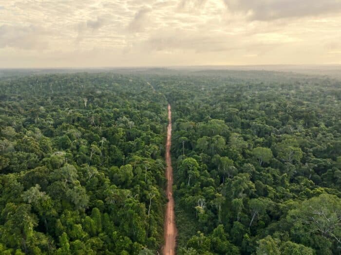 amazonie-3-1-millions-hectares-preserves