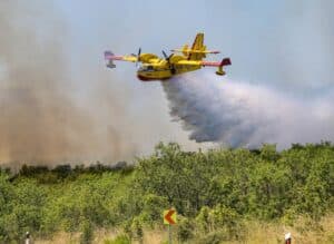 Incendie : Engie va donner 25 millions pour reconstruire les forêts