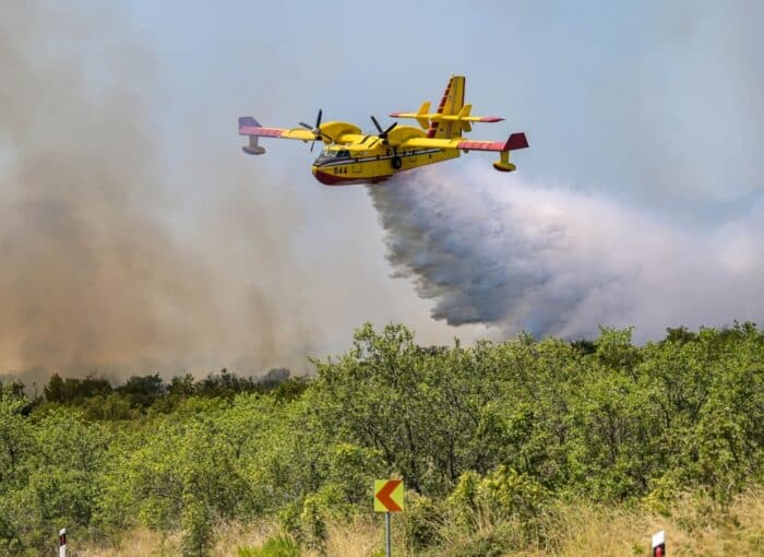 Incendie : Engie va donner 25 millions pour reconstruire les forêts