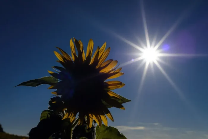 Les météorologues confirment une nouvelle canicule sur la France : les dates précises viennent de tomber et certaines régions ne sont pas prêtes